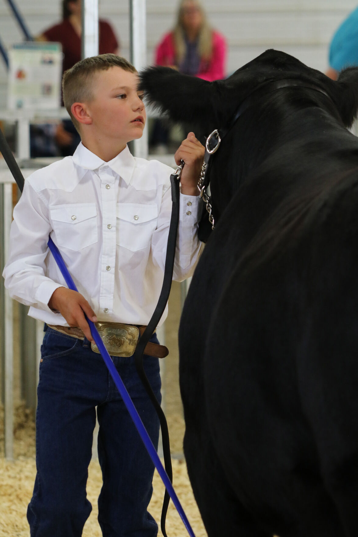 PHOTOS: Market Beef Show 2020